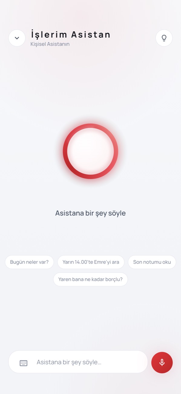 Asistan ile Konuşmak ekranı