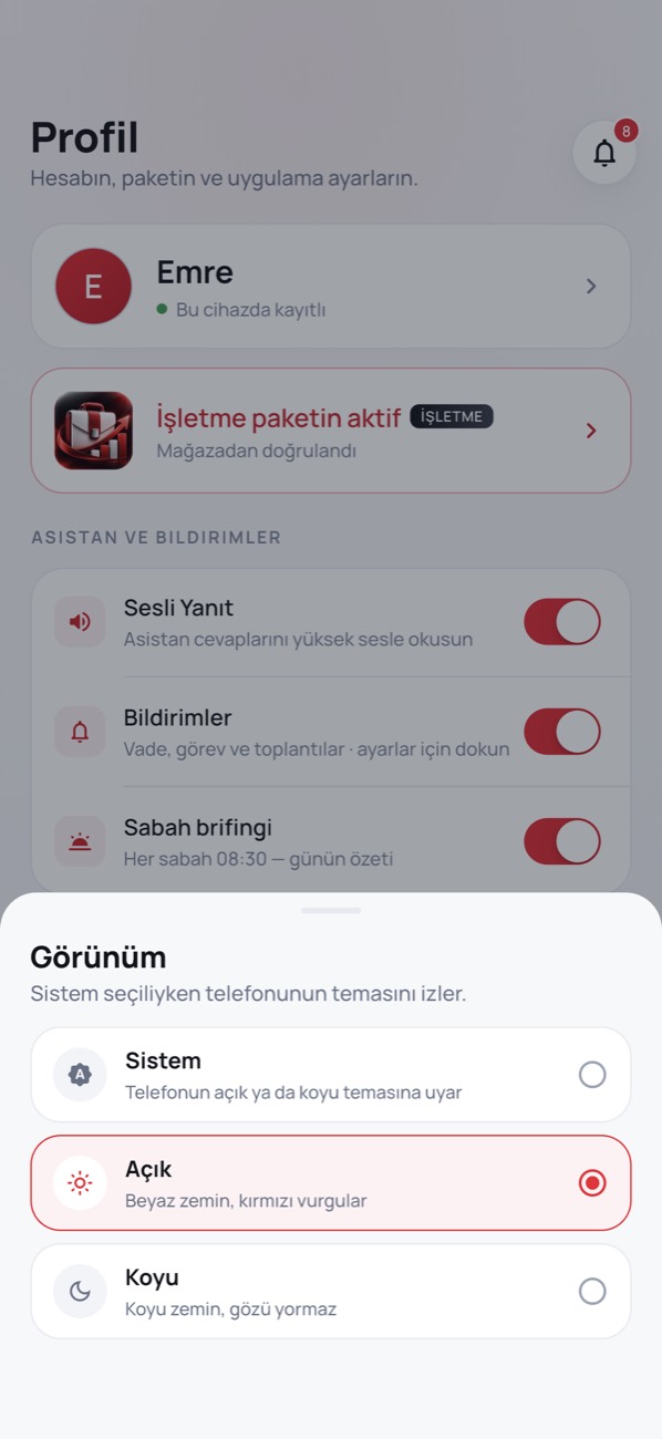 Görünüm (Açık / Koyu) ekranı